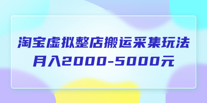 （3572期）淘宝虚拟整店搬运采集玩法分享课：月入2000-5000元（5节课）