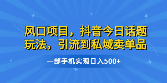 （4198期）风口项目，抖音今日话题玩法，引流到私域卖单品，一部手机实现日入500+