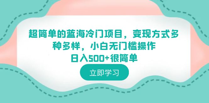（4040期）超简单的蓝海冷门项目，变现方式多种多样，小白无门槛操作日入500+很简单
