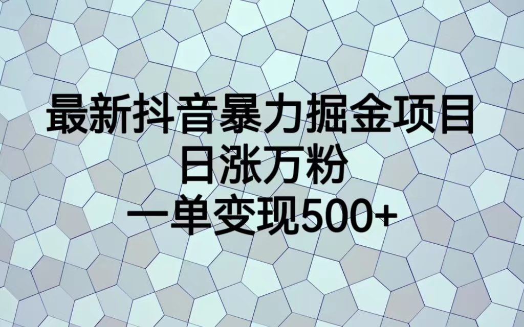 （4255期）最新抖音暴力掘金项目，日涨万粉，一单变现500+