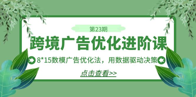 （4863期）跨境广告·优化进阶课·第23期，8*15数模广告优化法，用数据驱动决策